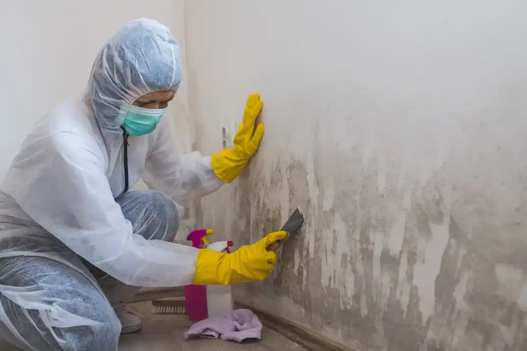 water damage restoration service Pinnacle Point